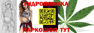 дживик Берёзовский
